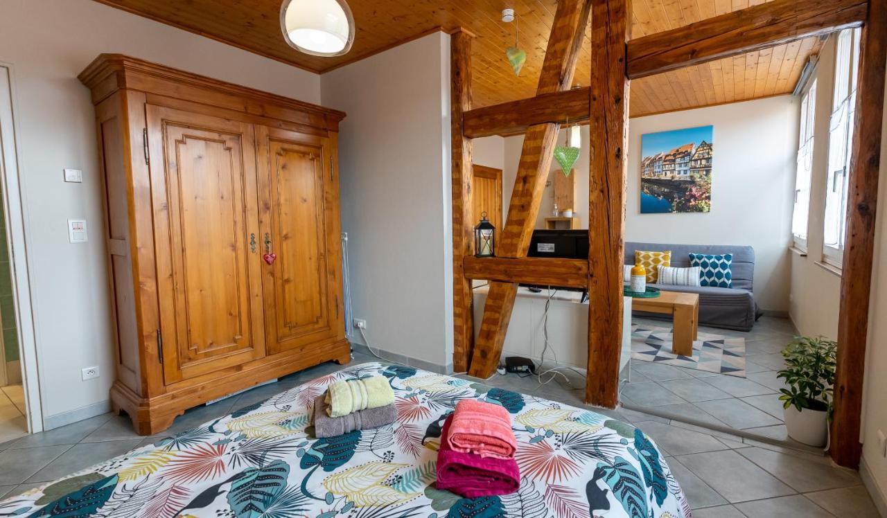 Апартаменты Le Schwendala - Quartier Petite Venise Кольмар Экстерьер фото
